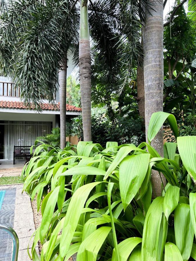 Hotel Wild Heaven Tissamaharama Exteriér fotografie