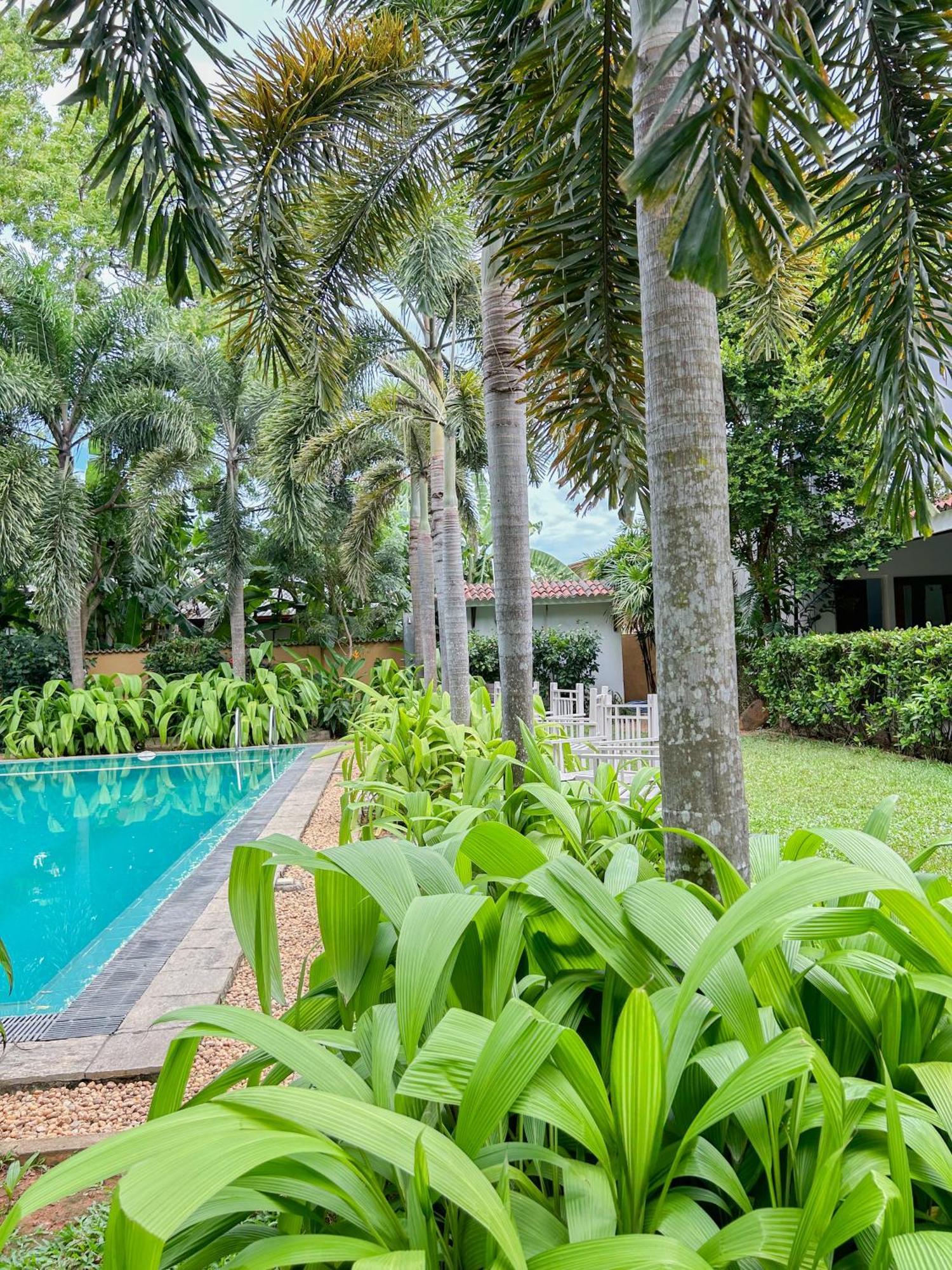 Hotel Wild Heaven Tissamaharama Exteriér fotografie