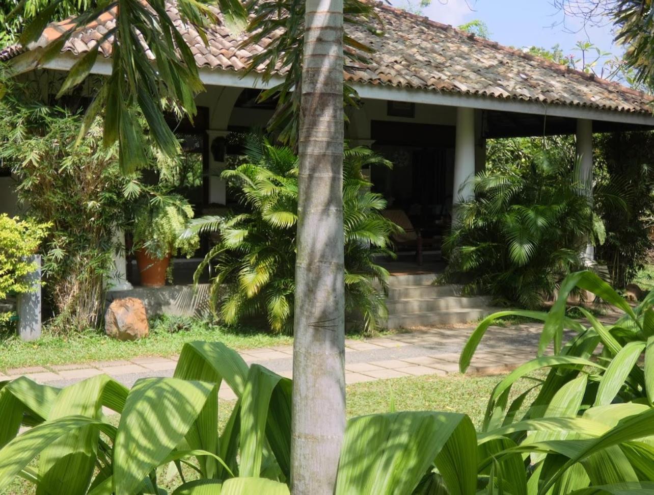 Hotel Wild Heaven Tissamaharama Exteriér fotografie