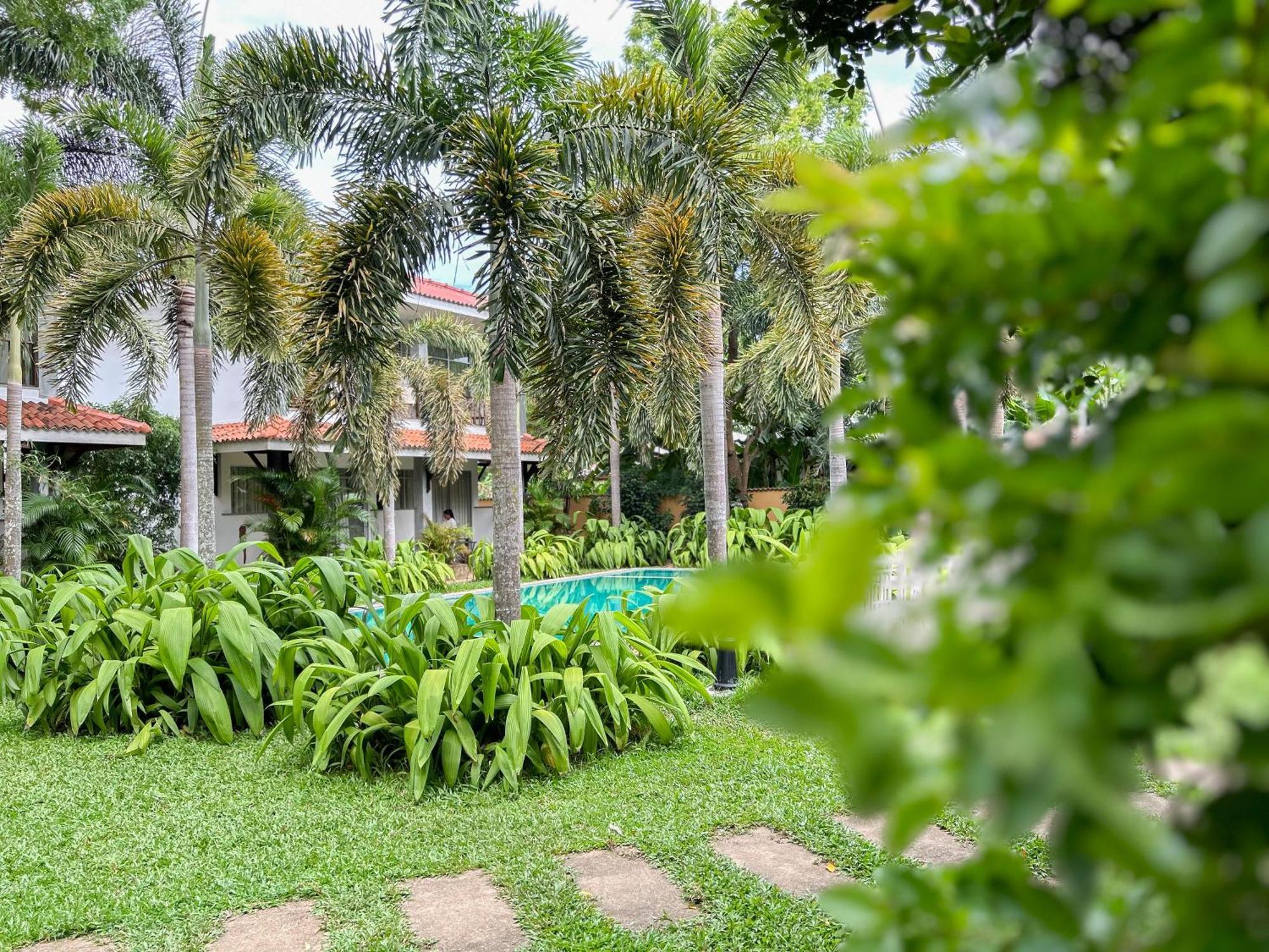 Hotel Wild Heaven Tissamaharama Exteriér fotografie